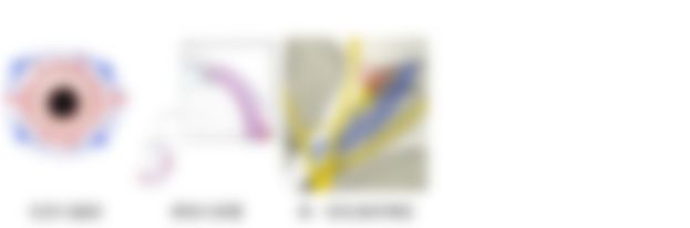 会員限定の図
