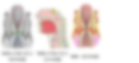 会員限定の図