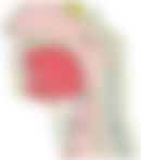会員限定の図
