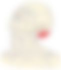 会員限定の図