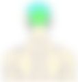 会員限定の図