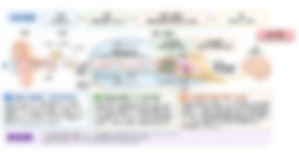 会員限定の図