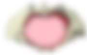 会員限定の図