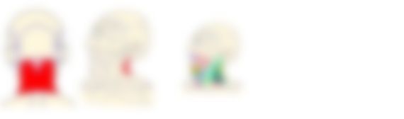 会員限定の図