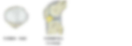 会員限定の図