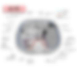 会員限定の図