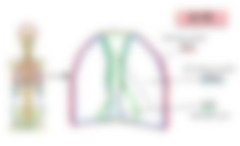 会員限定の図