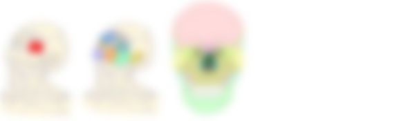 会員限定の図