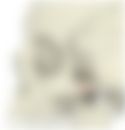 会員限定の図
