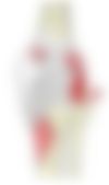 会員限定の図