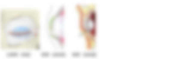 会員限定の図