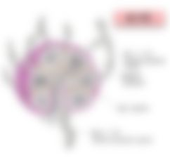 会員限定の図