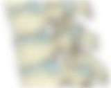 会員限定の図
