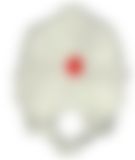 会員限定の図