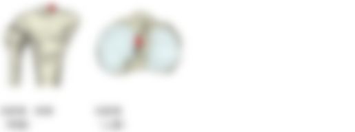 会員限定の図