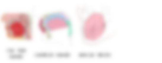 会員限定の図