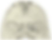 会員限定の図
