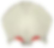 会員限定の図