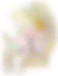 会員限定の図