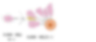 会員限定の図