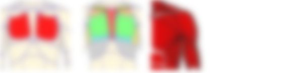 会員限定の図