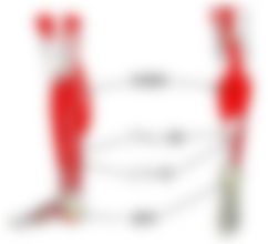 会員限定の図