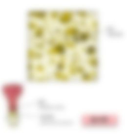会員限定の図