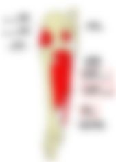会員限定の図