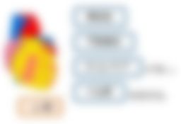 会員限定の図