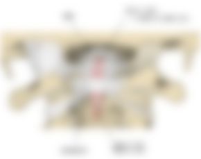 会員限定の図