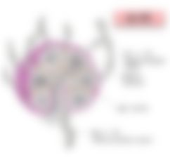 会員限定の図