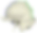 会員限定の図