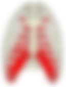 会員限定の図