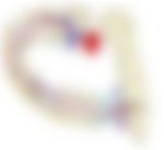会員限定の図