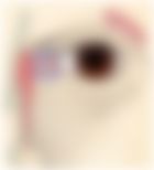 会員限定の図