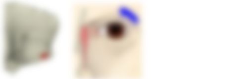 会員限定の図