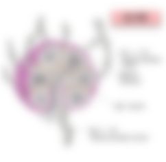 会員限定の図