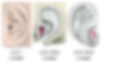 会員限定の図
