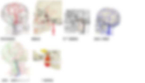 会員限定の図