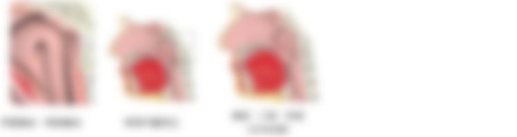 会員限定の図
