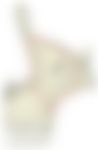 会員限定の図