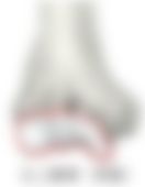 会員限定の図