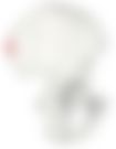 会員限定の図
