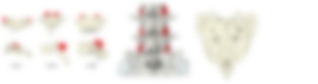 会員限定の図