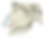 会員限定の図