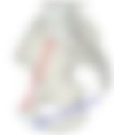 会員限定の図