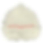 会員限定の図