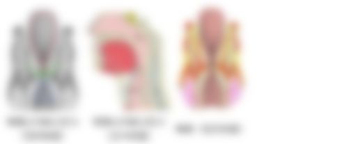 会員限定の図