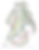 会員限定の図