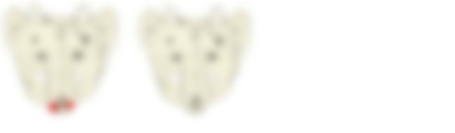 会員限定の図